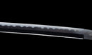 Katana Antica Giapponese, Tsuba con Uccelli Acquatici firmata Awataguchi
