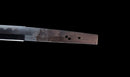 Katana Antica Giapponese, Tsuba con Uccelli Acquatici firmata Awataguchi