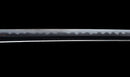 Katana Antica Giapponese, Tsuba con Uccelli Acquatici firmata Awataguchi