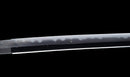 Katana Antica Giapponese, Tsuba con Uccelli Acquatici firmata Awataguchi