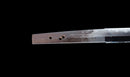Katana Antica Giapponese, Tsuba con Uccelli Acquatici firmata Awataguchi