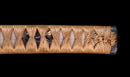 Katana Antica Giapponese di Kaifu con Doppio Hozon e Tsuba Myōchin Gunbai