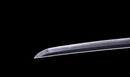 Katana Antica Giapponese di Kaifu con Doppio Hozon e Tsuba Myōchin Gunbai