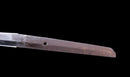 Katana Antica Giapponese di Kaifu con Doppio Hozon e Tsuba Myōchin Gunbai