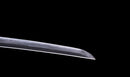 Katana Antica Giapponese di Kaifu con Doppio Hozon e Tsuba Myōchin Gunbai
