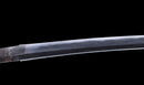 Katana Antica Giapponese di Kaifu con Doppio Hozon e Tsuba Myōchin Gunbai