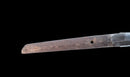 Katana Antica Giapponese di Kaifu con Doppio Hozon e Tsuba Myōchin Gunbai