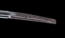 Katana Antica Giapponese con Tsuba in Ferro a Saggi Seduti e Hamon Suguha, Mumei, Periodo Edo