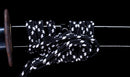 Katana Antica Giapponese con Koshirae in Lacca Nera e Tsuba in Ferro con Motivo a Piuma firmata Chikushi Tadamasa - Hozon