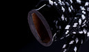 Katana Antica Giapponese con Koshirae in Lacca Nera e Tsuba in Ferro con Motivo a Piuma firmata Chikushi Tadamasa - Hozon
