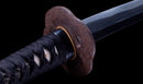 Katana Antica Giapponese con Koshirae in Lacca Nera e Tsuba in Ferro con Motivo a Piuma firmata Chikushi Tadamasa - Hozon