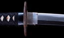 Katana Antica Giapponese con Koshirae in Lacca Nera e Tsuba in Ferro con Motivo a Piuma firmata Chikushi Tadamasa - Hozon
