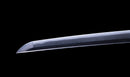 Katana Antica Giapponese con Koshirae in Lacca Nera e Tsuba in Ferro con Motivo a Piuma firmata Chikushi Tadamasa - Hozon