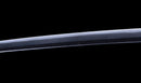 Katana Antica Giapponese con Koshirae in Lacca Nera e Tsuba in Ferro con Motivo a Piuma firmata Chikushi Tadamasa - Hozon