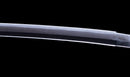 Katana Antica Giapponese con Koshirae in Lacca Nera e Tsuba in Ferro con Motivo a Piuma firmata Chikushi Tadamasa - Hozon