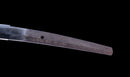 Katana Antica Giapponese con Koshirae in Lacca Nera e Tsuba in Ferro con Motivo a Piuma firmata Chikushi Tadamasa - Hozon
