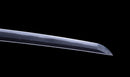 Katana Antica Giapponese con Koshirae in Lacca Nera e Tsuba in Ferro con Motivo a Piuma firmata Chikushi Tadamasa - Hozon