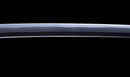Katana Antica Giapponese con Koshirae in Lacca Nera e Tsuba in Ferro con Motivo a Piuma firmata Chikushi Tadamasa - Hozon