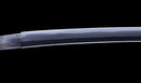 Katana Antica Giapponese con Koshirae in Lacca Nera e Tsuba in Ferro con Motivo a Piuma firmata Chikushi Tadamasa - Hozon