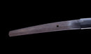 Katana Antica Giapponese con Koshirae in Lacca Nera e Tsuba in Ferro con Motivo a Piuma firmata Chikushi Tadamasa - Hozon
