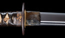 Katana Antica Giapponese con Tsuba in Ferro Sukashi Floreale, Lama Mumei Periodo Edo