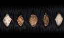 Katana Antica Giapponese con Tsuba in Ferro Intarsiato in Oro, Attribuita a Chikuzen Nobukuni — NBTHK Hozon