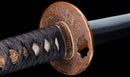 Katana Antica Giapponese con Tsuba in Ferro Intarsiato in Oro, Attribuita a Chikuzen Nobukuni — NBTHK Hozon