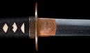 Katana Antica Giapponese con Tsuba in Ferro Intarsiato in Oro, Attribuita a Chikuzen Nobukuni — NBTHK Hozon