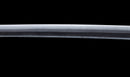 Katana Antica Giapponese con Tsuba in Ferro Intarsiato in Oro, Attribuita a Chikuzen Nobukuni — NBTHK Hozon