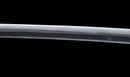 Katana Antica Giapponese con Tsuba in Ferro Intarsiato in Oro, Attribuita a Chikuzen Nobukuni — NBTHK Hozon