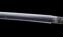 Katana Antica Giapponese con Tsuba in Ferro Intarsiato in Oro, Attribuita a Chikuzen Nobukuni — NBTHK Hozon
