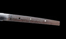 Katana Antica Giapponese con Tsuba in Ferro Intarsiato in Oro, Attribuita a Chikuzen Nobukuni — NBTHK Hozon