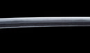 Katana Antica Giapponese con Tsuba in Ferro Intarsiato in Oro, Attribuita a Chikuzen Nobukuni — NBTHK Hozon