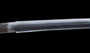 Katana Antica Giapponese con Tsuba in Ferro Intarsiato in Oro, Attribuita a Chikuzen Nobukuni — NBTHK Hozon