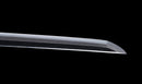 Katana Antica Giapponese con Tsuba Karakusa, firmata Chōshū Fujiwara Kiyoshige — NBTHK Hozon