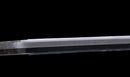 Katana Antica Giapponese con Tsuba Karakusa, firmata Chōshū Fujiwara Kiyoshige — NBTHK Hozon