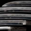 Naginata-Naoshi Wakizashi di Fuyuhiro - NBTHK Hozon