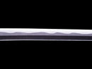 Katana Antica Giapponese firmata Amakuni Kura Minamoto Toshiyama