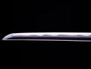 Katana Antica Giapponese firmata Amakuni Kura Minamoto Toshiyama