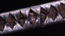 Katana Antica Giapponese Notare Midare Hamon, Inro Saya