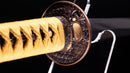 Katana Antica Giapponese di Fujiwara Takada - Hozon