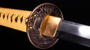 Katana Antica Giapponese di Fujiwara Takada - Hozon