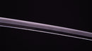 Katana Antica Giapponese 65,1cm con Tsuba in ferro spesso