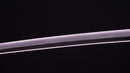 Katana Antica Giapponese 65,1cm con Tsuba in ferro spesso
