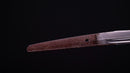 Katana Antica Giapponese di Taira Takada (Hozon)