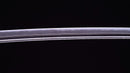 Katana Antica Giapponese di Taira Takada (Hozon)