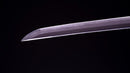 Katana Antica Giapponese firmata Noshu ju Fujiwara Kanefusa