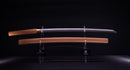 Katana Antica Giapponese di Takasaki Morishige (Hozon)