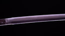 Katana Antica Giapponese di Takasaki Morishige (Hozon)