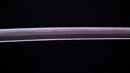 Katana Antica Giapponese di Takasaki Morishige (Hozon)